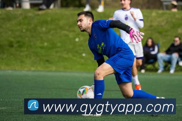 奇异果体育APP平台生态图