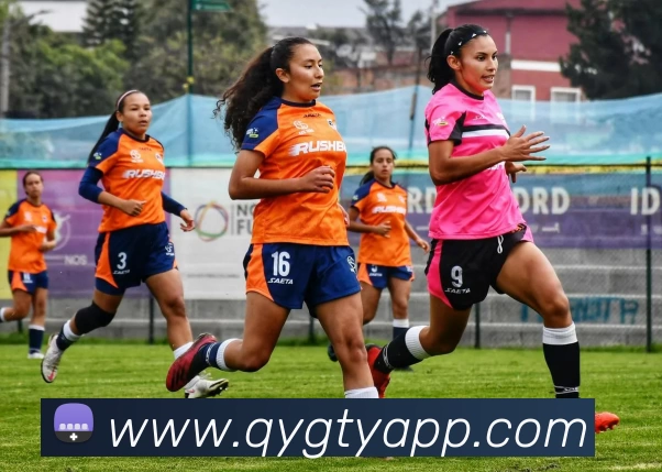 奇异果体育APPAPP 封面图